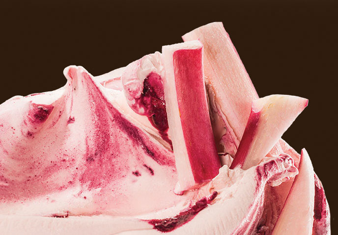 Rhubarb Quark