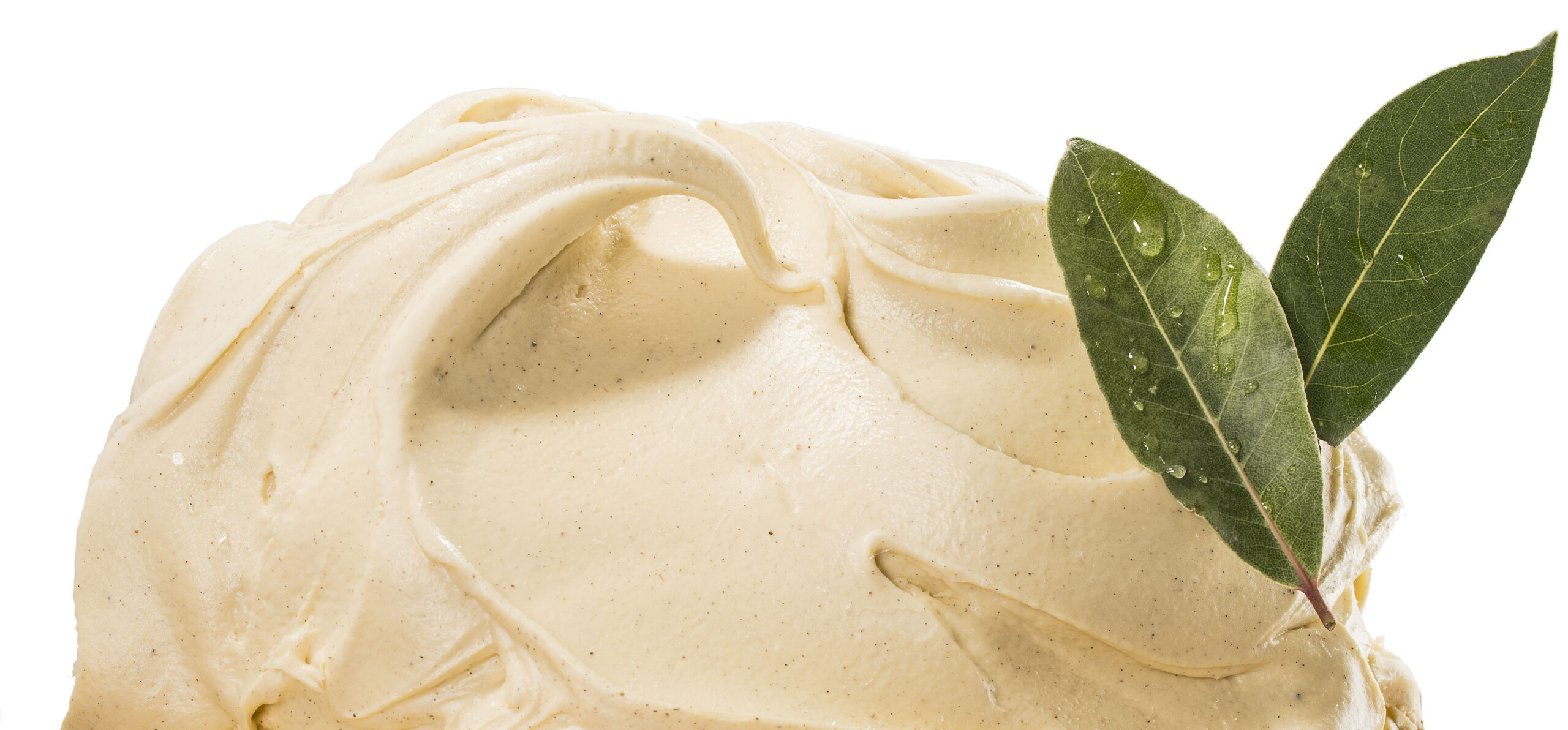 فانيليا نباتية